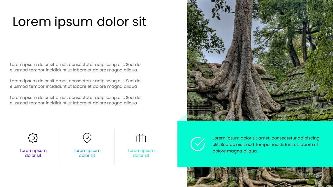 Content and Image Layout PowerPoint Presentation Slide